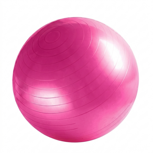 Clicia’s Joy Sculpt Stability Ball